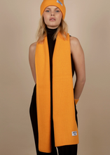 Load image into Gallery viewer, The Recycled Bottle Scarf