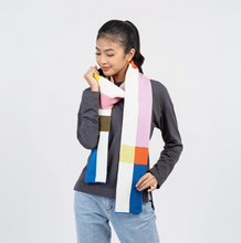 Load image into Gallery viewer, Chroma Skinny Scarf