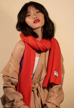 Load image into Gallery viewer, The Recycled Bottle Scarf