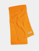Load image into Gallery viewer, The Recycled Bottle Scarf
